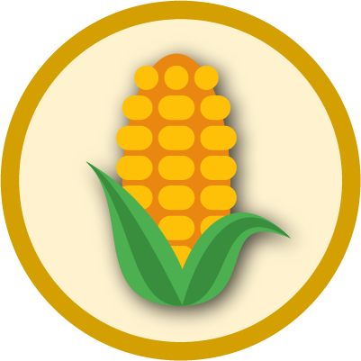 National Corn on the Cob Day